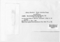 Image Associated With the Occurence
